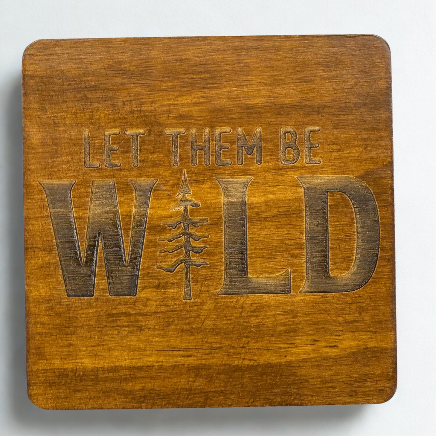 let them be wild in early america